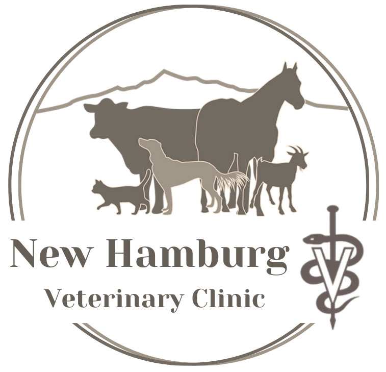 New Hamburg Veterinary Clinic